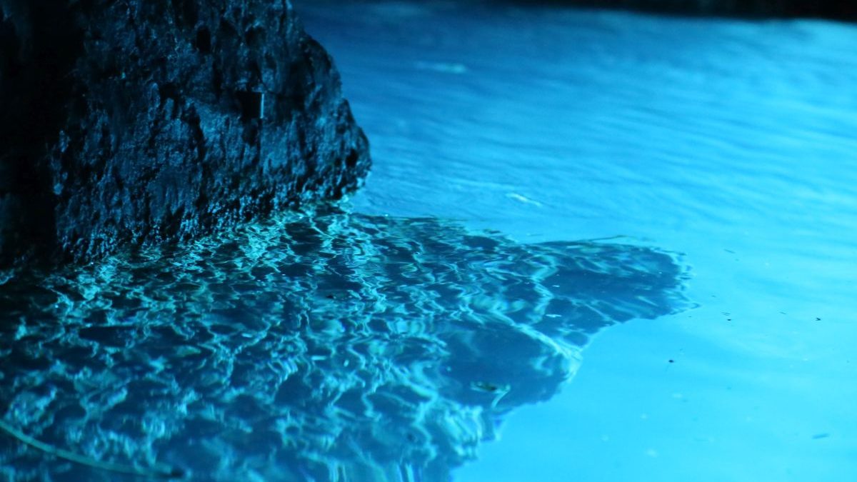 Blue colour inside the Blue cave, Croatia